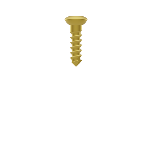 2.4 mm Hex-head Titanium Self-tapping Cortical Screw